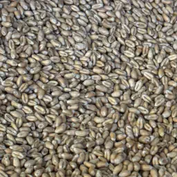 Tarwe voor Brood of Voeder - Bigbags, gereinigd, 850-900kg