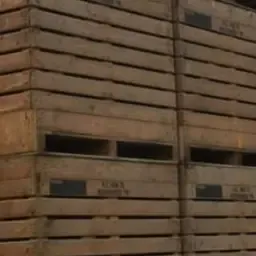 Kisten: 50 necap, hoekstra 140, 110, 123