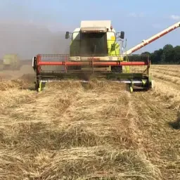 Graszaad Pick-Up ~5m Breed voor 6m Claas Voorzetstuk