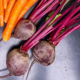 Sfeclă roșie de vânzare | Spălate sau nespălate, certificate GGn