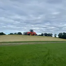 Maiskuil Te Koop: 850-900 Ton, Hoge Kwaliteit