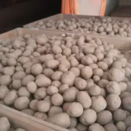 Bulk Arsenal Potatoes For Sale - 120+ Tons