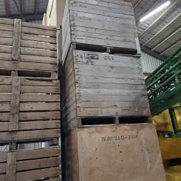 Kisten met gaasbodem te koop - 100x120x100cm