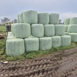 Midi hooibalen te koop - 90 stuks, tweede en derde snede