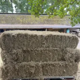 Baloți mici de fân de vânzare - Fără buruieni