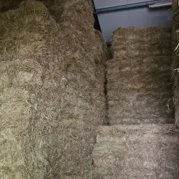 Fân și paie de vânzare