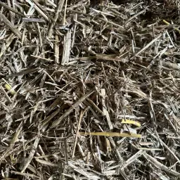 Paille de blé et de colza à vendre | Balles de haute qualité