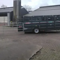 Bruneau Cargo HVX 5400 Viehanhänger zu verkaufen