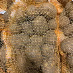 Pommes de terre jaunes à vendre - Récolte fraîche, emballage flexible