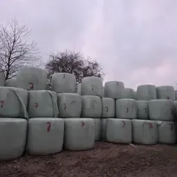 Heulage & Silage Ronde Balen Kopen | Topkwaliteit