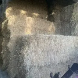 Weidehooi te koop - Oogst juli 2025, 46 pakken