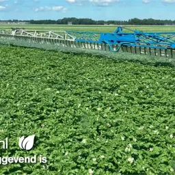 Spuitmiddel.nl: Prix compétitifs pour la protection des cultures