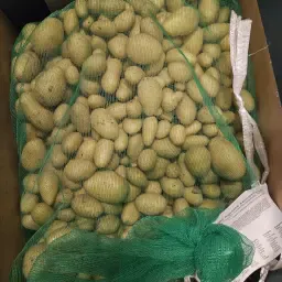 Мини картофи за посев налични | Ограничено количество