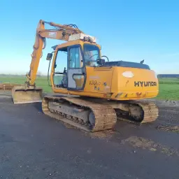 Хюндай Robex 130 Верижен кран - 2001, 14 тона