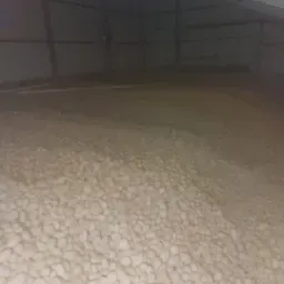 Rote Alouette Kartoffeln, unsortiert - 600 Tonnen verfügbar