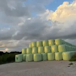 Μπάλες ενσιρώματος προς πώληση - Κορυφαία ποιότητα, 1ο κόψιμο