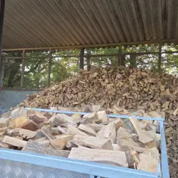 Kaminholz Buche/Eiche/Esche trocken, 25-28cm