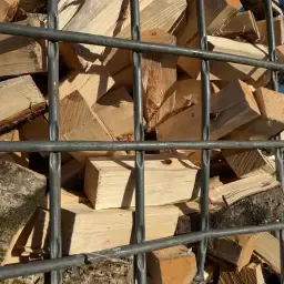 Brennholz Birke zu verkaufen – Frisch gespalten