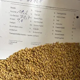 Renset foderbyg (2025) – 150 tons til salg