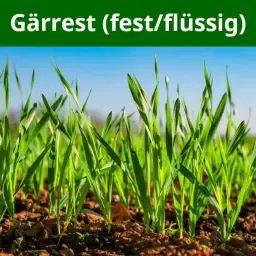 Digestato como fertilizante: Orgánico y rico en nutrientes