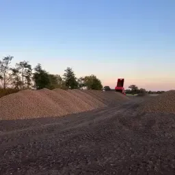 Нишестени картофи за Avebe - Директно от фермата