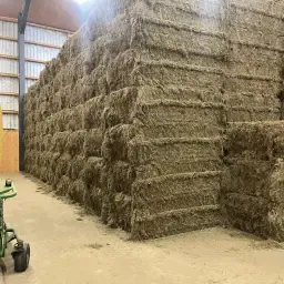 Topkwaliteit Hooibalen van Derde Snede te Koop