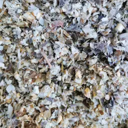 Silomais te koop: Min. 200m³