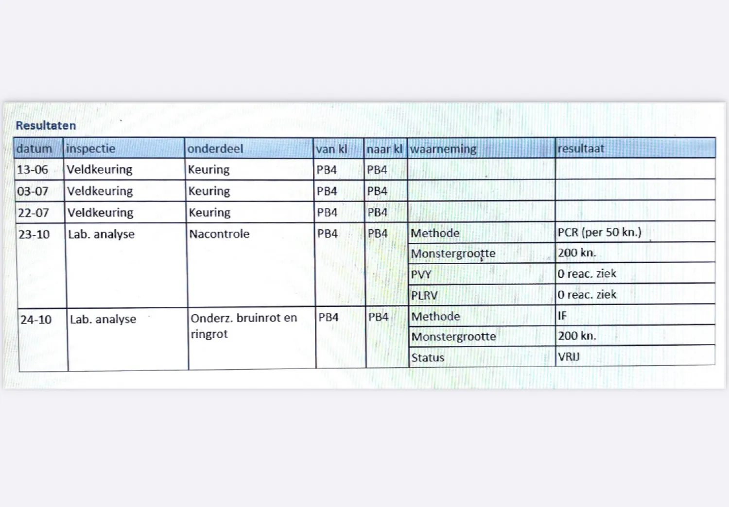 Spunta PB4 Pootaardappelen - Virusvrij & Geschikt voor Export