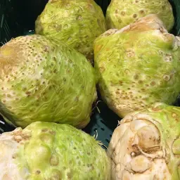 Knollensellerie: Frisch oder für die Industrie, QS-Gap zertifiziert