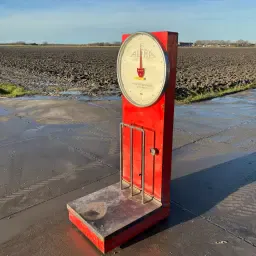 Alfra Weegschaal tot 100 kg - Goed Werkend