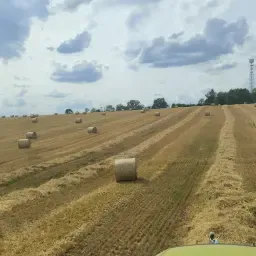 Stro Ronde Balen Kopen - Tarwe, Gerst, Rogge, Spelt