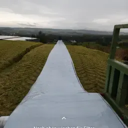 Kuilsmaïs Oogst 25 te Koop