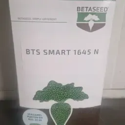 Bieten zaad Conviso 2025: Hoge kwaliteit, droog bewaard