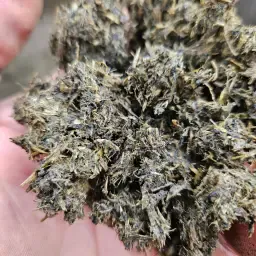 Paja en venta: Aprox. 400 toneladas