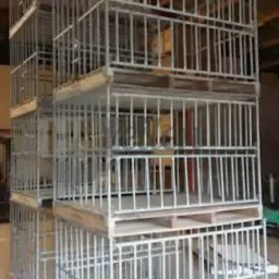 Koolkisten kopen? Vind de juiste kisten hier!