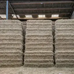 Сено от реколта 2025