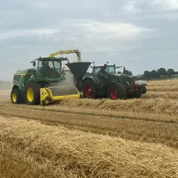 Stro/Hoo/Miscantus Gehakselde Balen – 120/90 Quaderbalen