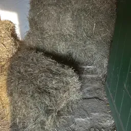 Големи бали сено HD за продажба