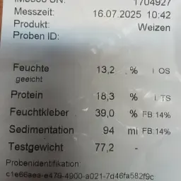 E-wheat Exsal, approx. 60 tons for sale, Region 82110