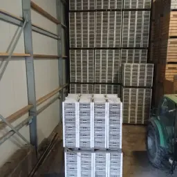 Curver kiembakken te koop | Zaaien en kweken