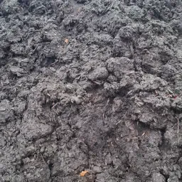 Rundveemest kopen | Bodemverbetering en bemesting