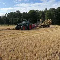 Cumpărați baloți de fân și paie | Calitate premium