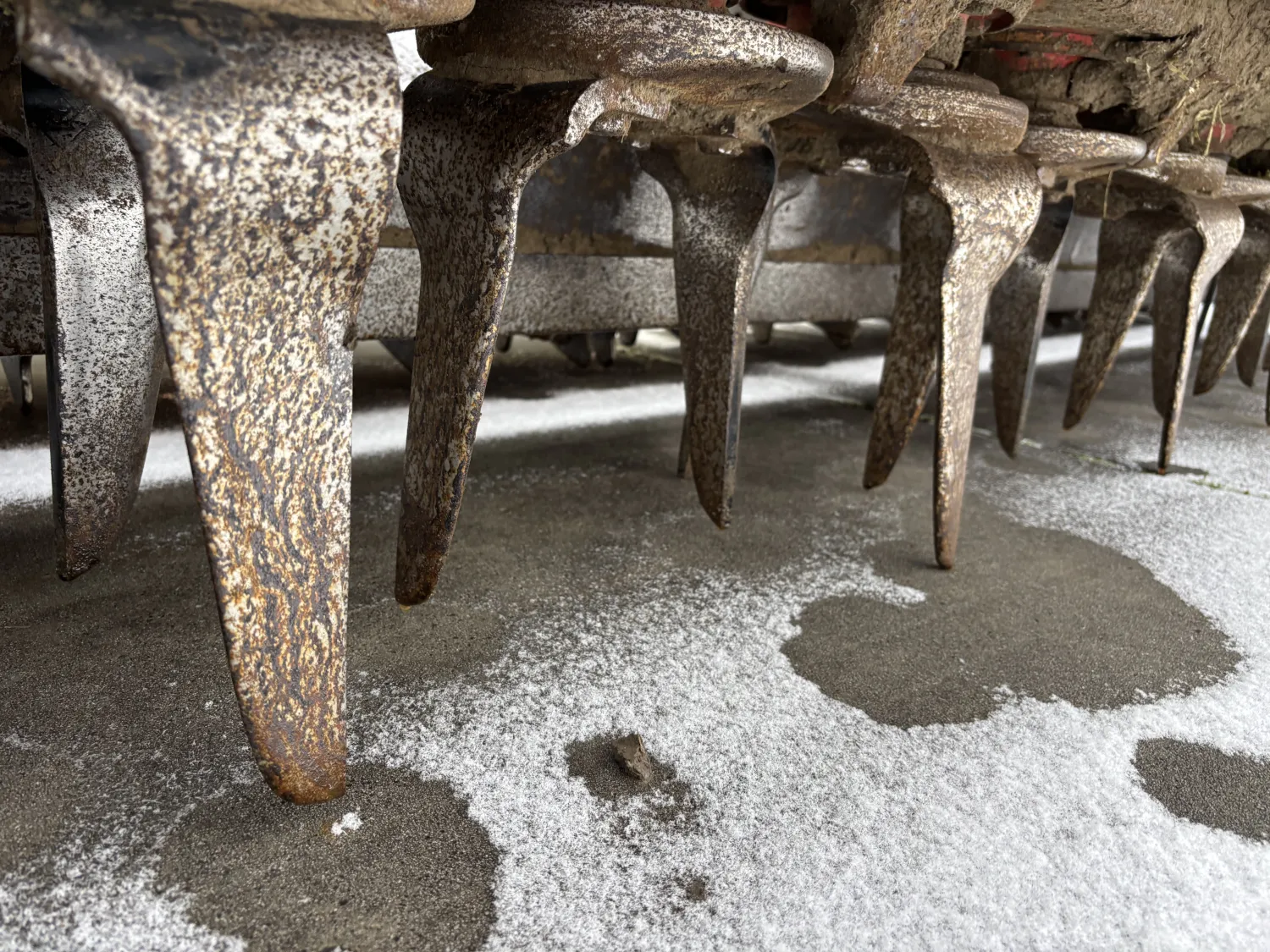 Brona wirnikowa Pegoraro D 4000 - 4.00m Szerokość