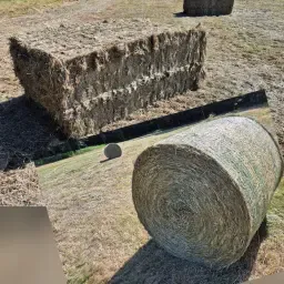 Cumpărați fân de pajiște: Fân de conservare în baloți