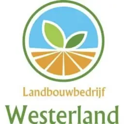 LBB Westerland