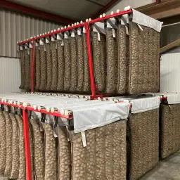 Voorkiemsystemen huren/kopen | Pootgoed opslag