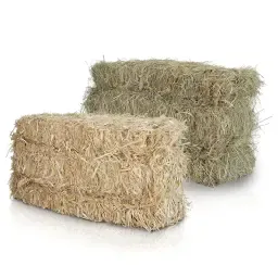 Caut: Baleți HD fân și paie, ofer gunoi de grajd gratuit (97769)