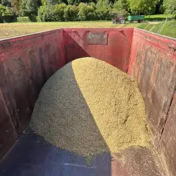 Biologische Voedergerst (8t) – Bioland kwaliteit