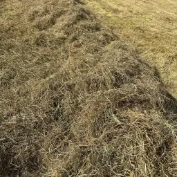 Kuilvoer 1e snede 2025 - Gewikkeld