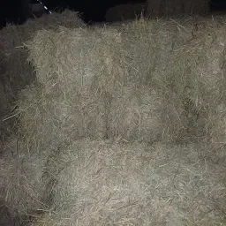 Продажба на бали сено HD – реколта 2025 г.